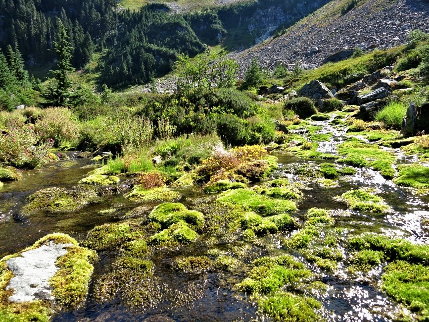 PCT je jedna z nejdel��ch turistick�ch tras na sv�t�!