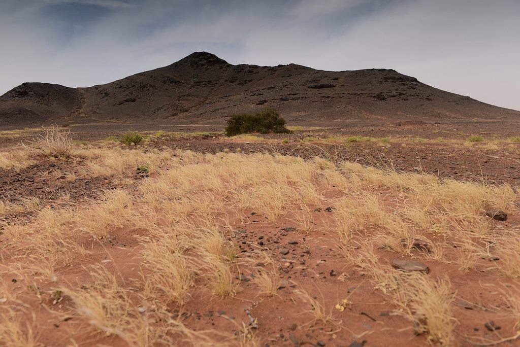 Po stop�ch Rallye Pa�� - Dakar