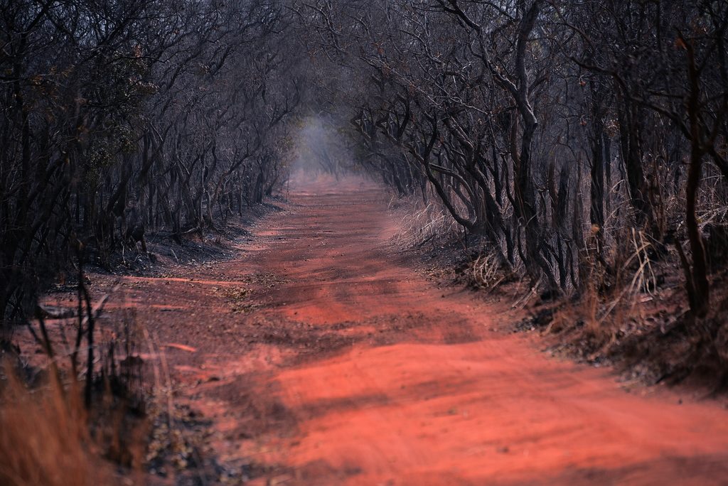 Po stop�ch Rallye Pa�� Dakar