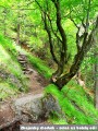Na Zbojn�ck�m chodn�ku - 4